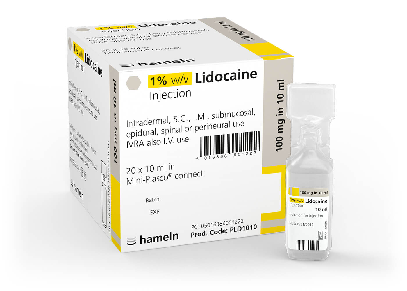 Lidocaine lab report